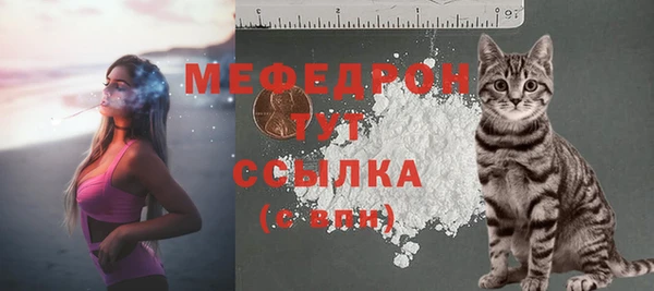 стаф Заводоуковск