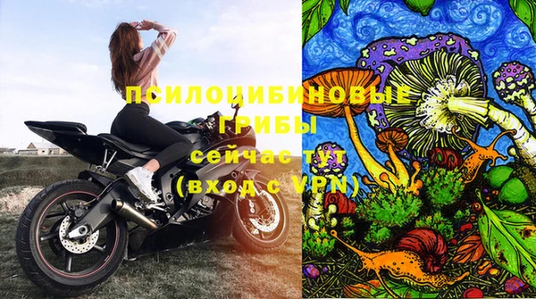 стаф Заводоуковск