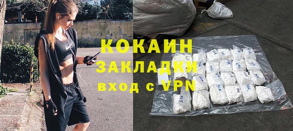 стаф Заводоуковск