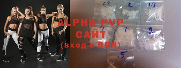 стаф Заводоуковск