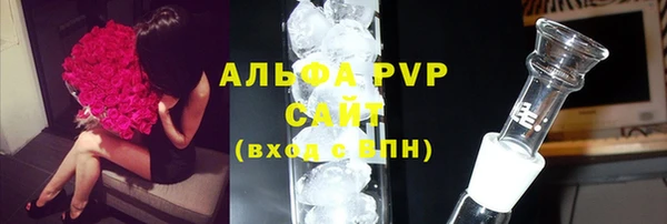 стаф Заводоуковск