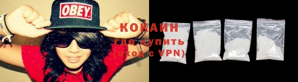 стаф Заводоуковск