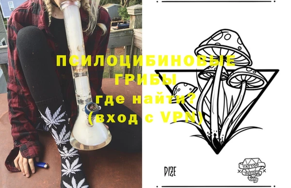стаф Заводоуковск