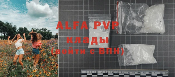 стаф Заводоуковск