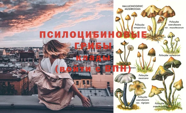 мяу мяу мука Заволжье