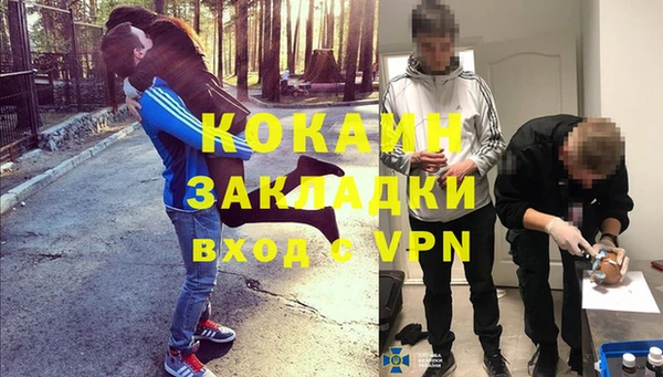стаф Заводоуковск