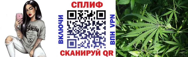 Конопля индика  Купить закладки  Мураши 